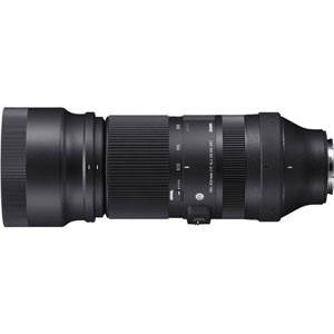 シグマ SIGMA シグマ SIGMA 100-400mm F5-6.3 DG DN OS ソニーE用