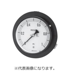 長野計器 長野計器 AE15-233X100MPA 普通形圧力計 埋込形D枠 取付穴 φ100 メーカー直送 代引不可 北海道沖縄離島不可
