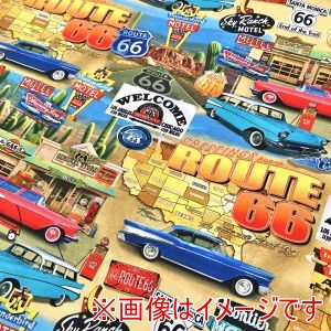 TIMELESS TREASURES TIMELESS TREASURES USA1294 MICHAEL 50cm×110cm メーカー直送 代引不可 北海道沖縄離島不可