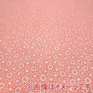 moda moda USA1366 30s PLAYTIME 2025 50cm×110cm メーカー直送 代引不可 北海道沖縄離島不可