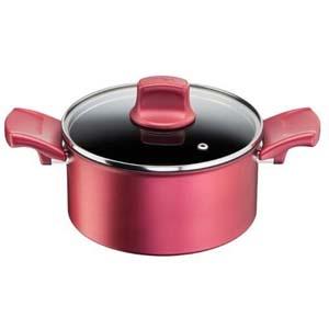 ティファール T-FAL ティファール G26244 IHルージュ アンリミテッド シチューポット 20cm T-FAL