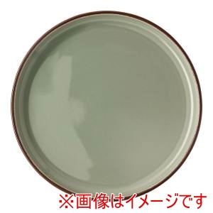 ローゼンタール Rosenthal ローゼンタール RTプロフィ アースプレート405405 27cm Cモス10867