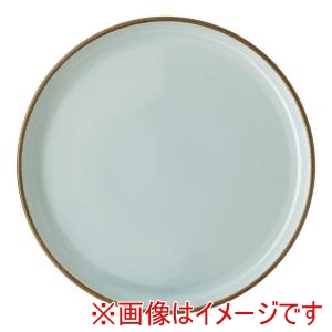 ローゼンタール Rosenthal ローゼンタール RTプロフィ アースプレート405406 27cm Cミント10867