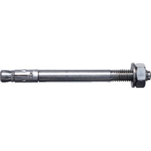 フィッシャー fischer フィッシャー 503186 ボルトアンカー FAZ2 12/10 C4 10本入