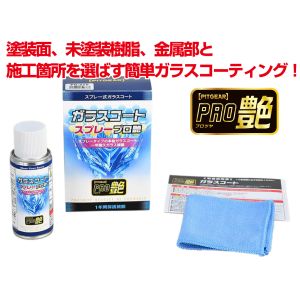 タナックス TANAX タナックス PG-284 ガラスコートスプレー プロ艶 TANAX