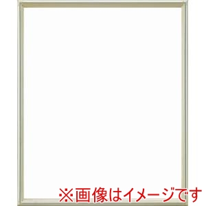 大額 大額 7517 デッサン額 大衣 シルバー UVアクリル