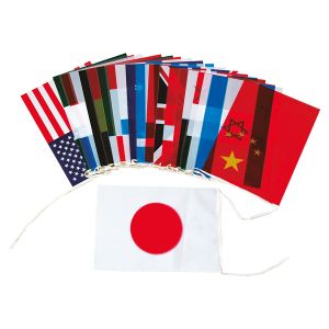 トーエイライト TOEI トーエイライト B6336 万国旗SS20 連結済