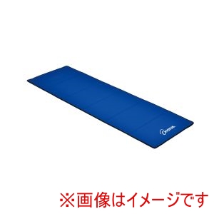 トーエイライト TOEI トーエイライト H7258 エクササイズマット 6折
