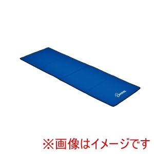 トーエイライト TOEI トーエイライト H7177 エクササイズマット4折