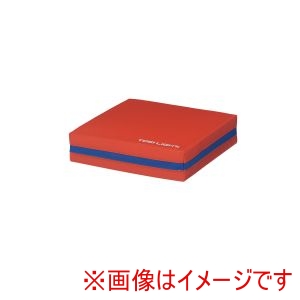 トーエイライト TOEI LIGHT トーエイライト U7045R ジャンプ&スプリングマット4