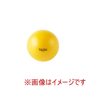 トーエイライト TOEI LIGHT トーエイライト U7056 ギムニクソフトエアボール21