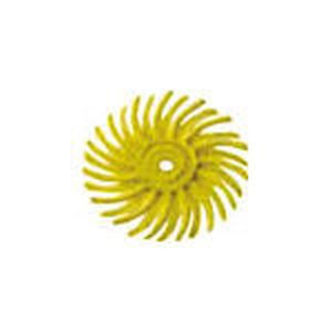 スリーエム 3M スリーエム 3M BR DISC 80 3/4 ラジアル ブリッスルディスク 80相当 黄 19.1mm 48個入