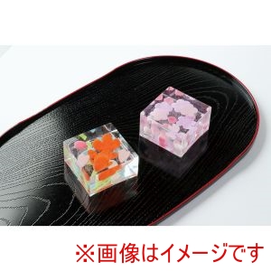 アーテック ArTec アーテック 水菓子づくり 12595