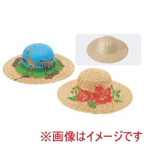 アーテック ArTec アーテック ワークショップ 20人用 セット 麦わらぼうし 15インチ 58633