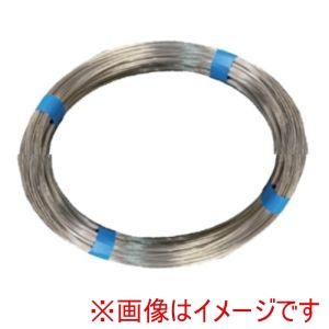 フジテック フジテック 19806 ステンレス針金 #20x10M