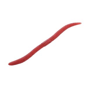 ジャッカル JACKALL ジャッカル フリックシェイク サイトマジック 4.8インチ 土ミミズ