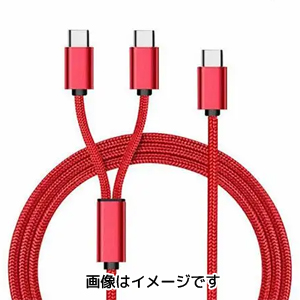 あきばお～ TypeC TypeC×2 ケーブル 1.2m レッド