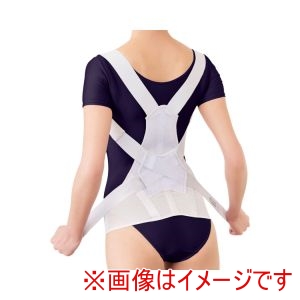 アルファックス アルファックス 334881 AP-202806 お医者さんのがっちり背すじベルト M-L