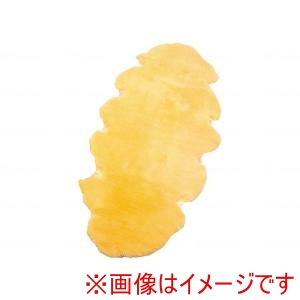 ウェルファン ウェルファン NR-2P ナーシングラッグ 二匹物 NR-2P メーカー直送 代引不可 北海道沖縄離島不可