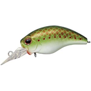 エバーグリーン EVERGREEN エバーグリーン ワイルドハンチSR 373 オリーブコパーシャッド