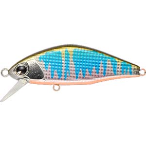 アイマ ima アイマ イッセン 45S IS45-116 オイカワオレンジベリー