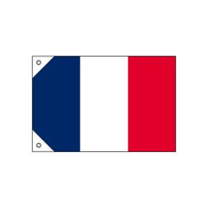 のぼり屋工房 のぼり屋工房 国旗 フランス ミニ 販促用 23673