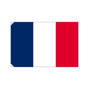 のぼり屋工房 のぼり屋工房 国旗 フランス 大 販促用 23675