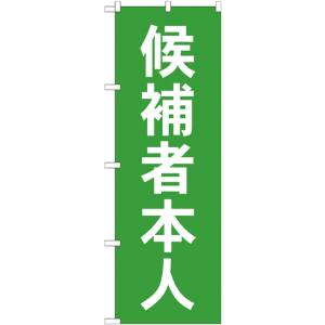 のぼり屋工房 のぼり屋工房 のぼり 候補者本人 GNB-1919