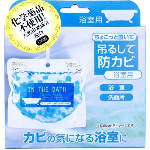 ビッグバイオ ちょこっと置いて吊るして防カビ浴室用150g