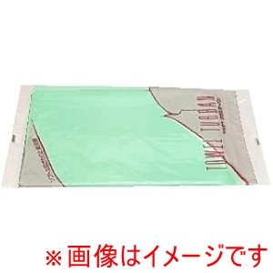 アイオン AION アイオン アイオン タオルターバン グリーン