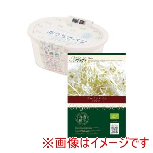 プレーリードッグ プレーリードッグ 534052 OGSG-901 育てて食べるスプラウト栽培キット アルファルファ