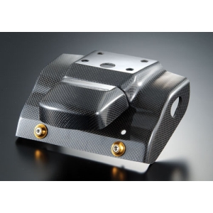 アグラス AGRAS アグラス 605-260-000 フェンダーレスキット カーボン YZF-R1 02 AGRAS