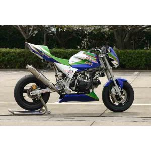 ノジマ NOJIMA ノジマ NCW621FS-BK-RC Z110キット レーシング BLKゲル KSR110