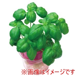 アーテック ArTec アーテック バジル 0.5mL 小袋 102989