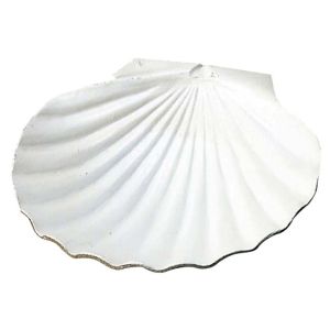 江部松商事 EBM EBM アルミ ホタテ貝皿 小 江部松商事