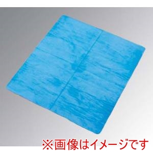 アイオン アイオン プラスセーヌ R302B ブルー