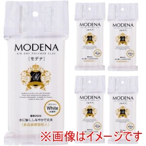 日本紐釦貿易 Nippon Chuko 日本紐釦 パジコ モデナ 250g 5個セット PDC3109-5