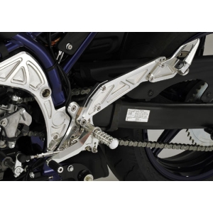 アグラス AGRAS アグラス 312-396-000 バックステップ 4ポジション GLADIUS400 AGRAS