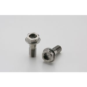 アエラ AELLA アエラ AT-DU004 チタンボルト(Rキャリパーマウント) M8X20 P1.25(2本)