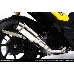 ウイルズウィン WirusWin ウイルズウィン 1282-18-01 ハイパフォーマンスマフラー ズーマーX WirusWin