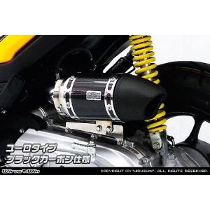 ウイルズウィン WirusWin ウイルズウィン 1284-01-06 サイレンサー型エアクリーナー/ユーロ ブラック ズーマーX WirusWin