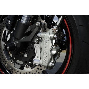 アグラス AGRAS アグラス 318-492-000 キャリパーサポート ラジアルマウント用 108mm Z800 13- AGRAS