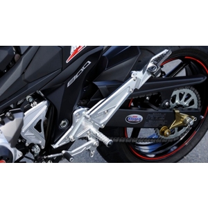 アグラス AGRAS アグラス 312-492-000 バックステップ タンデムステー付 Z800 13- AGRAS