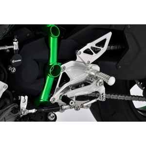 アグラス AGRAS アグラス 312-496-000 バックステップ NINJA H2 15 AGRAS