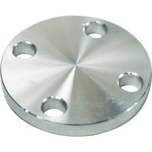 フローバル FLOBAL フローバル SUS-5K-BL-FF-20A SUS304 5K 閉止フランジ 14100554