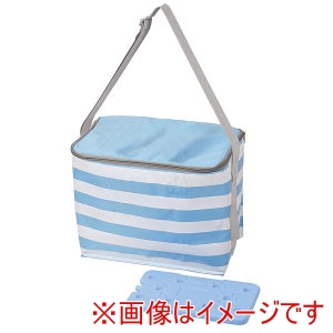パール金属 Pearl パール金属 SOTOLINK 行楽 保冷バッグ 15L 保冷剤付き DC-6086