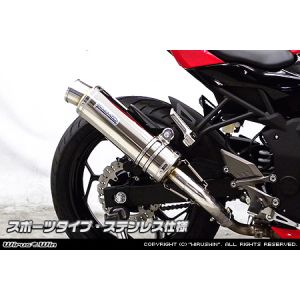 ウイルズウィン WirusWin ウイルズウィン 1642-30-05 スリップオン スポーツ ステンレス Ninja250SL JBK-BX250A WirusWin
