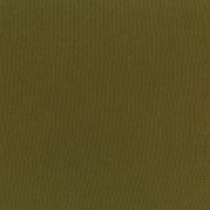 清原 KIYOHARA KIYOHARA カジュアル ナイロン 生地 無地 ナイロン100% 約135cm×50cm Col.G グリーン HMF08N-50 G 清原