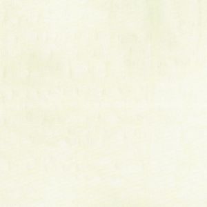清原 KIYOHARA KIYOHARA カジュアル ナイロン 生地 無地 ナイロン100% 約135cm×50cm Col.OW オフホワイト HMF08N-50 OW 清原