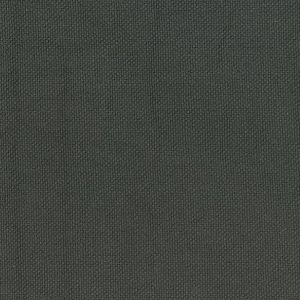 清原 KIYOHARA KIYOHARA パレットカラー帆布 11号 生地 無地 綿100% 約110cm×50cmカット PGRY ペールグレー KOF02-50 PGRY 清原